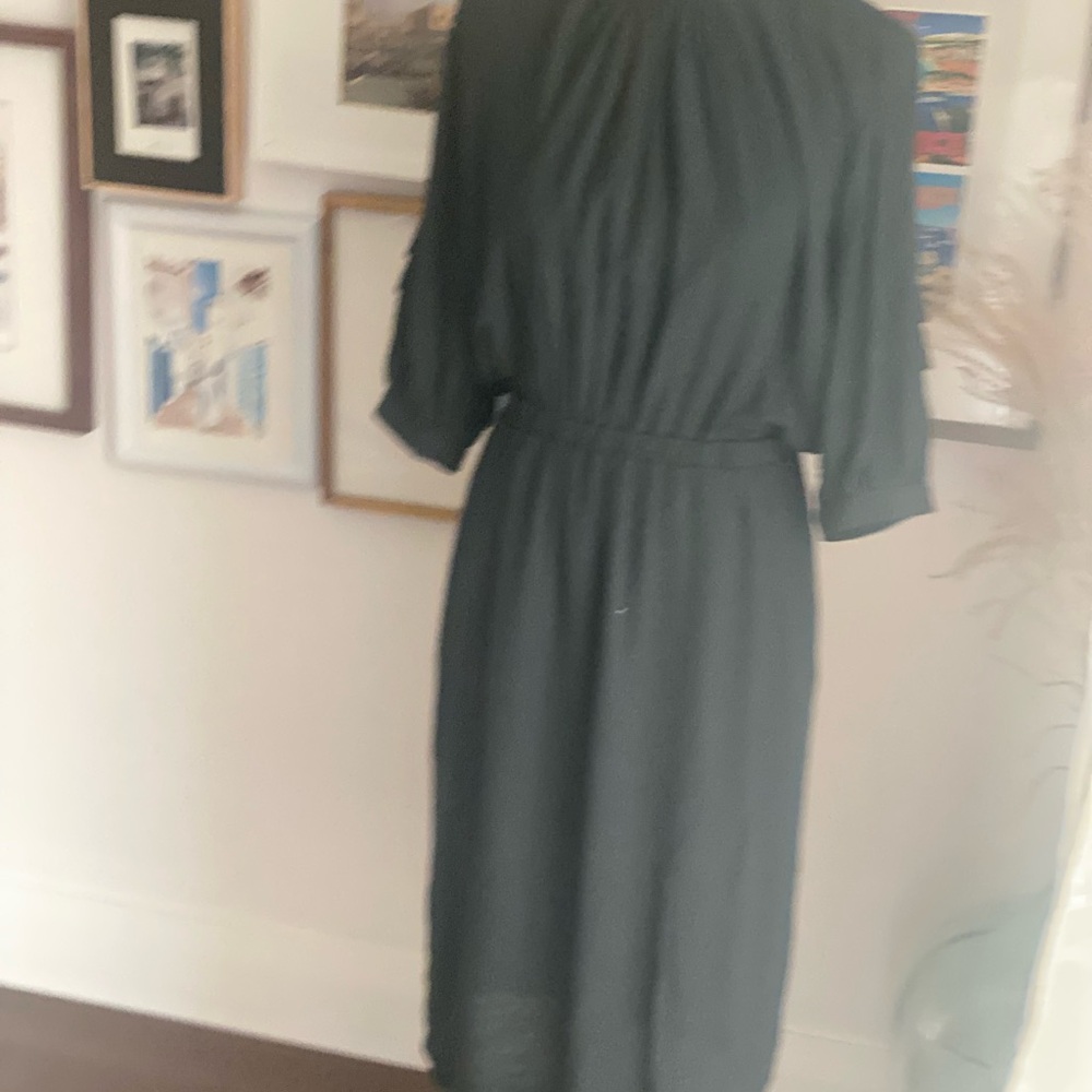 NEW Sessun green dress